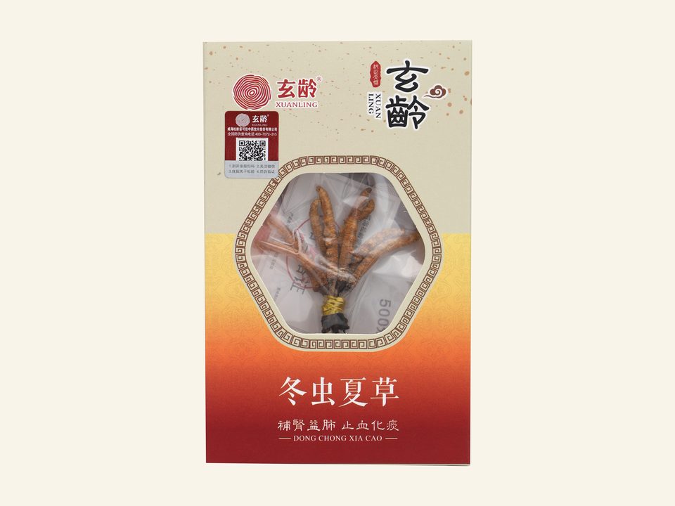 冬虫夏草（净）（三等）纸盒3g网站底色产品图