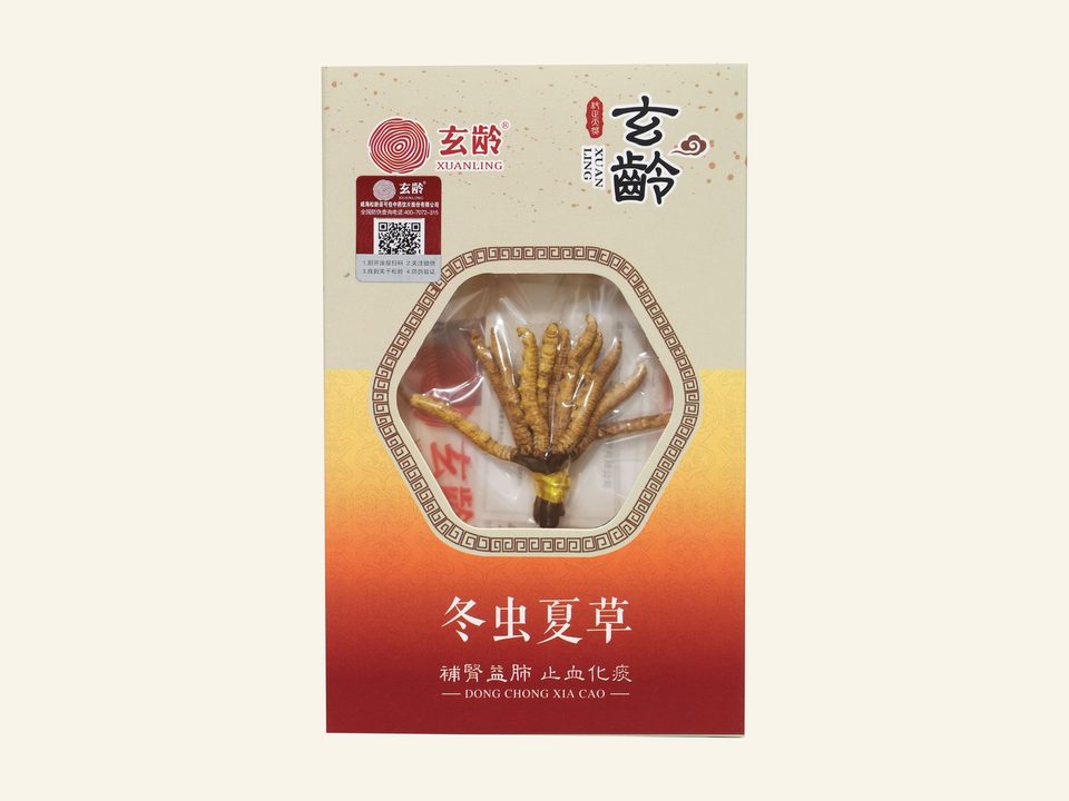 冬虫夏草（净）（五等）纸盒3g网站底色产品图